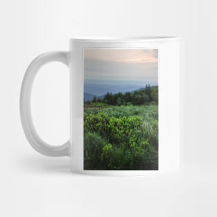 Meadow at the sunrise Mug